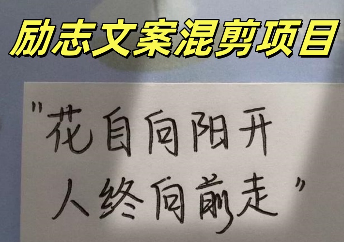 励志文案正能量视频混剪项目，利用AI创作小众蓝海玩法，操作简单易上手流量精准转化高-知知学社